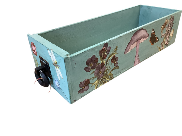 Gift Box Birds & Dragonflies -  Muckabout