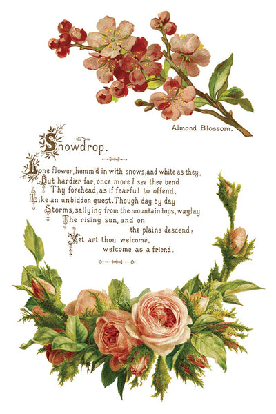 Lover of Flowers Decor Transfer - Iron Orchid Designs