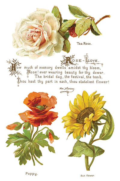 Lover of Flowers Decor Transfer - Iron Orchid Designs