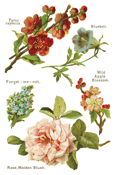 Lover of Flowers Decor Transfer - Iron Orchid Designs