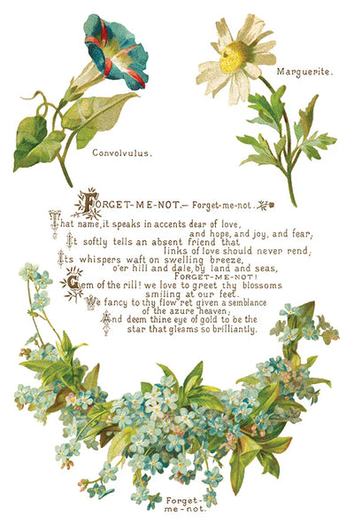 Lover of Flowers Decor Transfer - Iron Orchid Designs