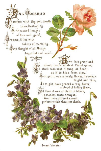 Lover of Flowers Decor Transfer - Iron Orchid Designs