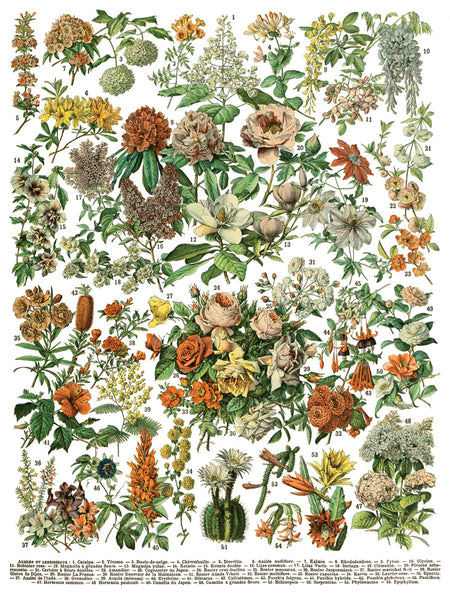 Millot's Décor Transfer - Iron Orchid Designs