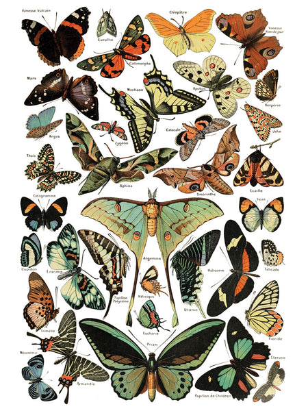 Millot's Décor Transfer - Iron Orchid Designs
