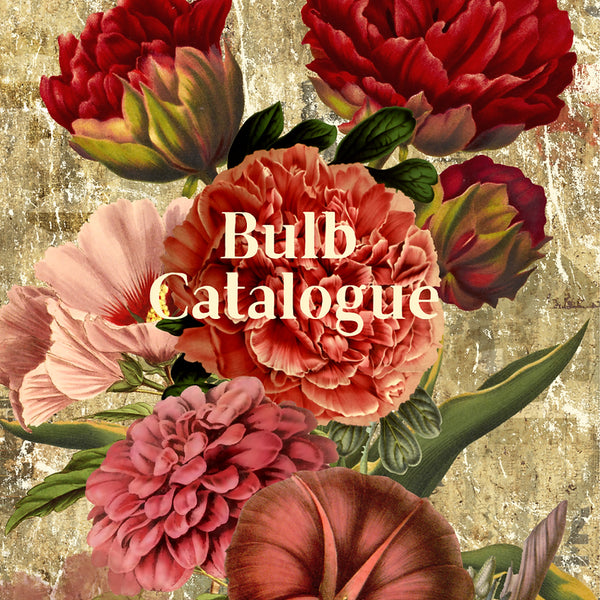 Roses are Red - Made By Marley Decoupage Paper