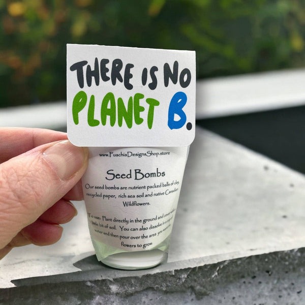 Seed Bombs - Earth Day Themed - Wildflowers