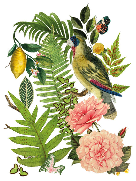 Bungalow IOD Deocr Transfer - Iron Orchid Designs
