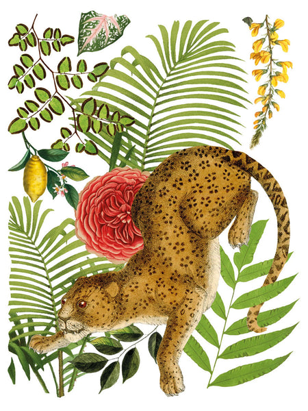 Bungalow IOD Deocr Transfer - Iron Orchid Designs