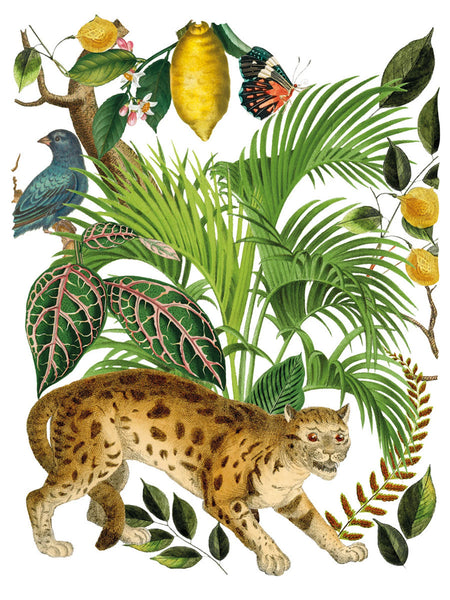 Bungalow IOD Deocr Transfer - Iron Orchid Designs