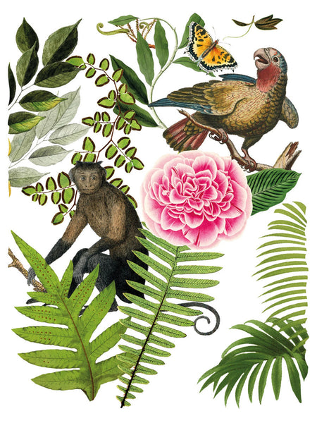 Bungalow IOD Deocr Transfer - Iron Orchid Designs