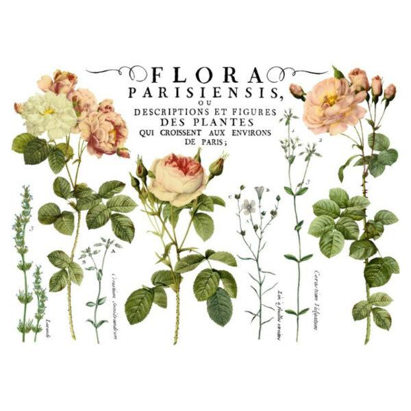 Flora Parisiensis Decor Transfer - Iron Orchid Designs