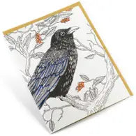Birds on Cards -  Box set of 6
