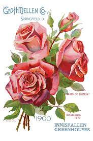 Ephemeral Melange Decor Transfer - Iron Orchid Designs