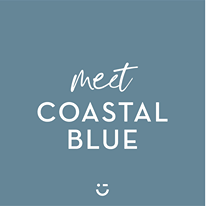 Coastal Blue - Milk Paint by Fusion