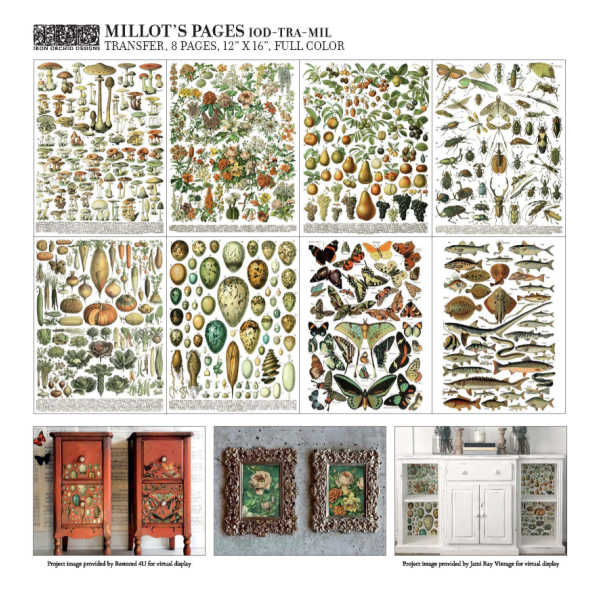 Millot's Décor Transfer - Iron Orchid Designs