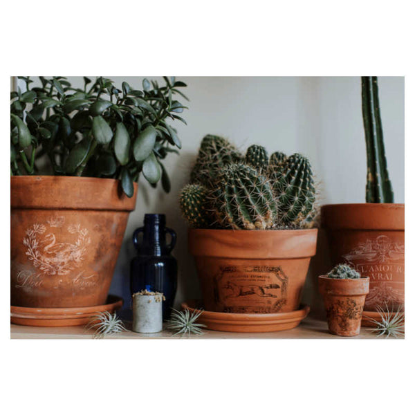 Traditional Pots Decor Transfer - Iron Orchid Designs