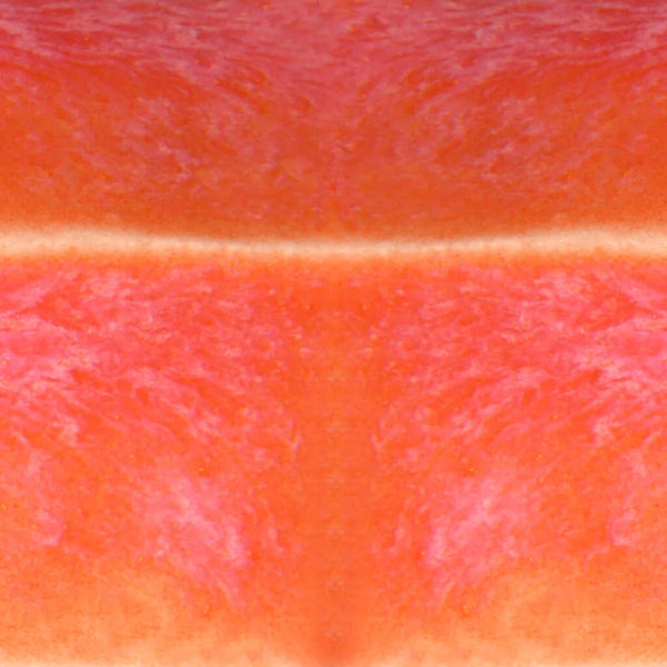 Living Coral - Speedball Mid Fire Glaze - 16oz