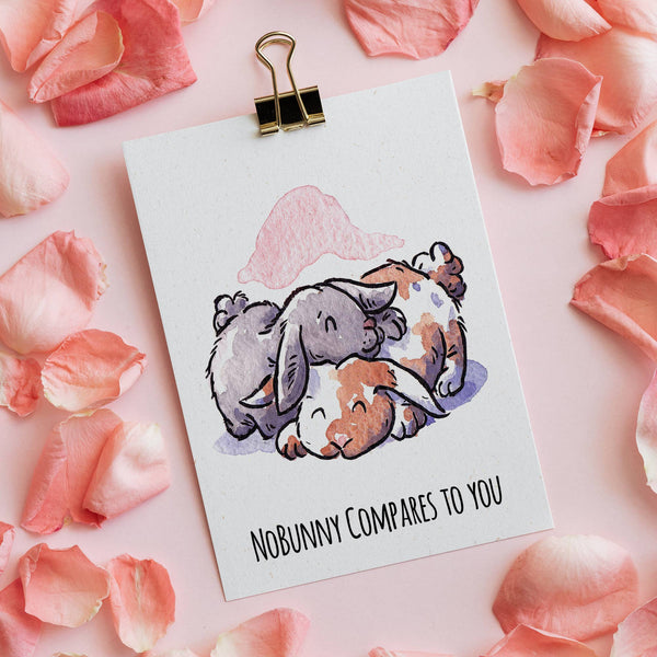 "Nobunny Compares" - Bunny Valentines, Anniversary Card