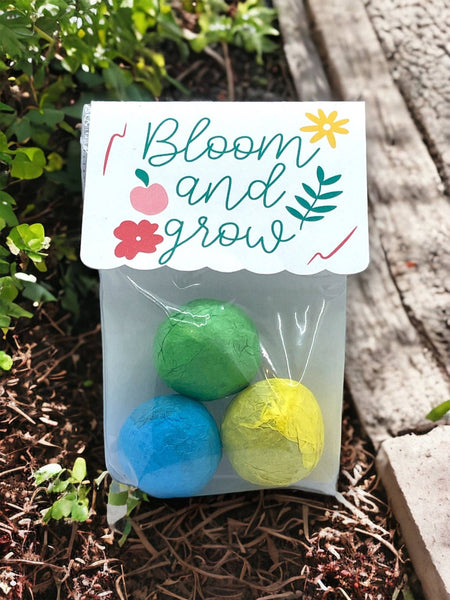 Seed Bombs - Canadian Wildflower - Blooming Blessings