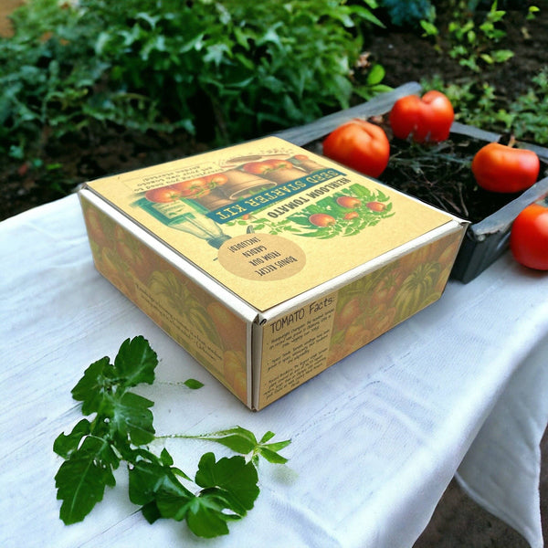 Heirloom Tomato Starter Kit: Grow Your Own Heritage Tomatoes