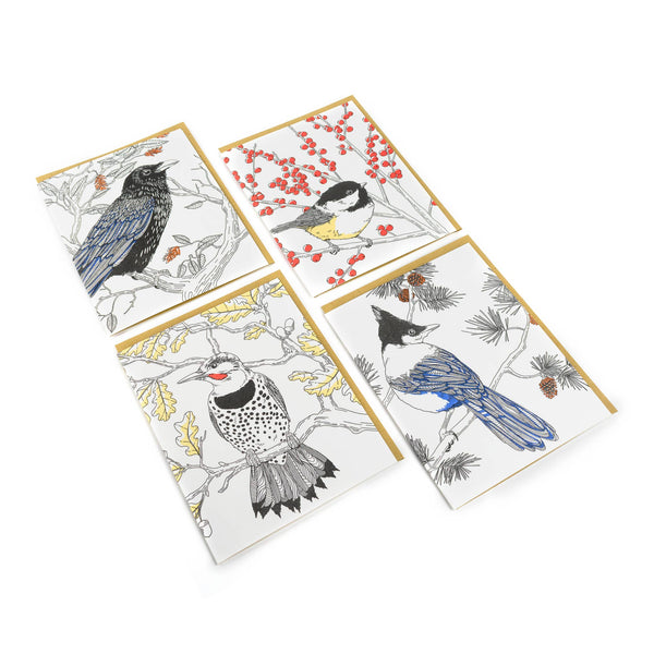 Nature Bird Series Box Set of Cards
