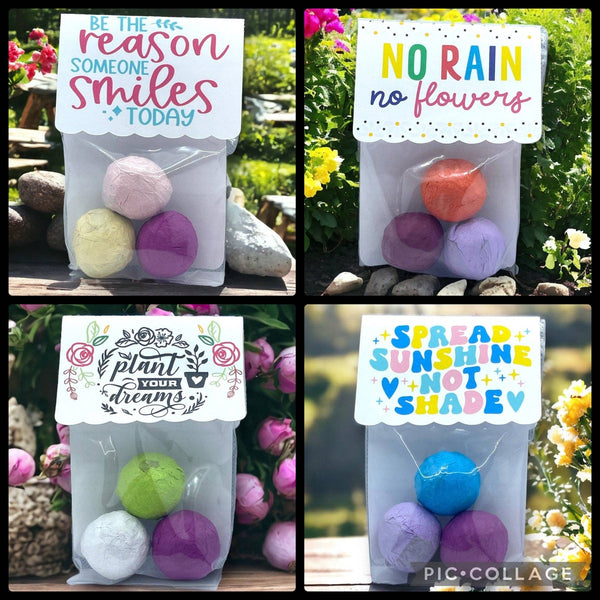 Seed Bombs - Canadian Wildflower - Blooming Blessings