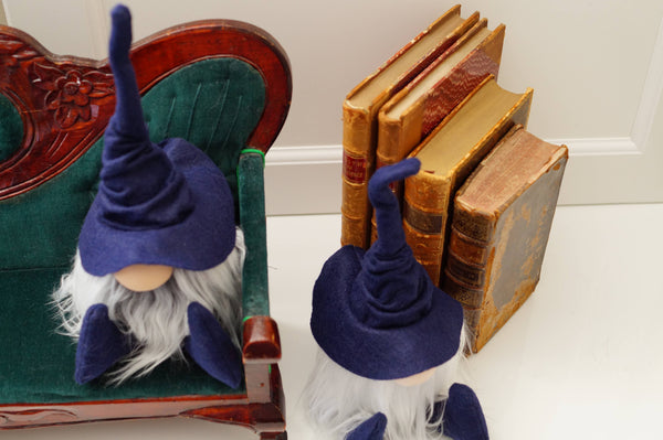 Librarian Wizard Gnome- Navy Blue: Frosty Beard