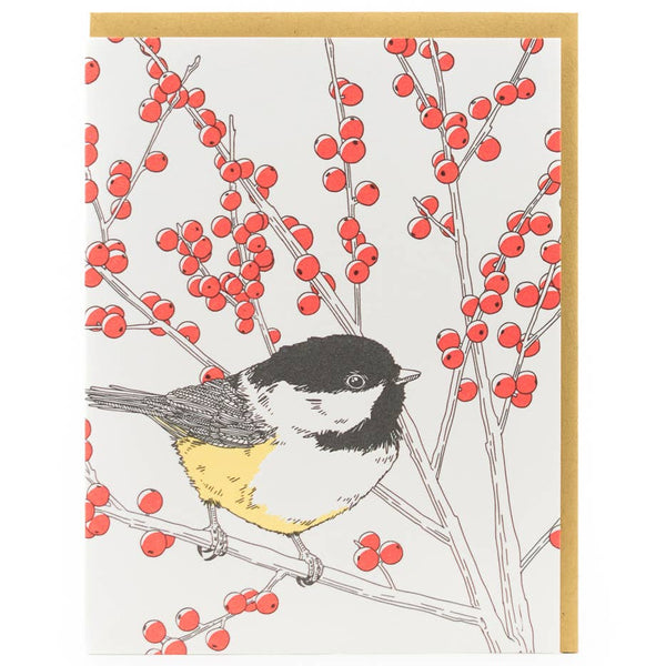 Nature Bird Series Box Set of Cards