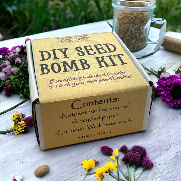 Seed Bombs - DIY Craft Kits