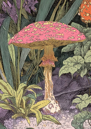 Toadstool  - Made By Marley Decoupage Paper