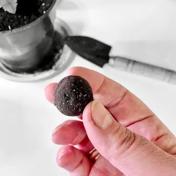 Seed Bombs - Diy Craft Kits