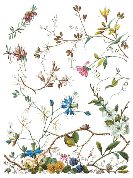 Lost Garden IOD Transfer - Iron Orchid Designs