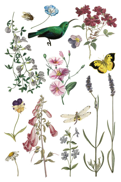 Wilde Bloemen IOD Transfer - Iron Orchid Designs