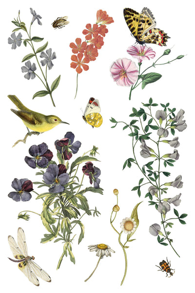Wilde Bloemen IOD Transfer - Iron Orchid Designs
