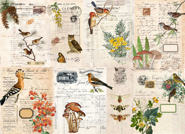 Roycycled Decoupage Papers - Seasonal Patterns