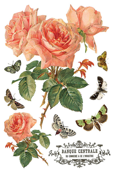 By Any Other Name IOD Transfer - Iron Orchid Designs - 2026