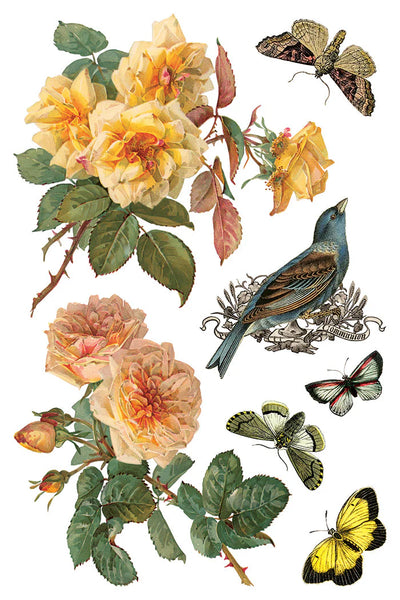 By Any Other Name IOD Transfer - Iron Orchid Designs - 2026
