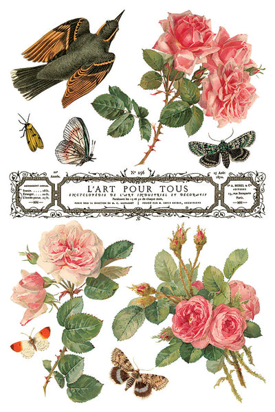 By Any Other Name IOD Transfer - Iron Orchid Designs - 2026