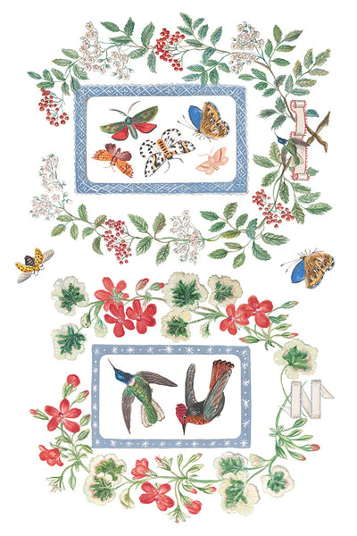 Emily Clare IOD Transfer - Iron Orchid Designs - 2026