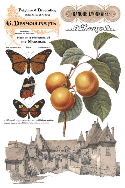 Saint Ouen IOD Transfer - Iron Orchid Designs - 2026