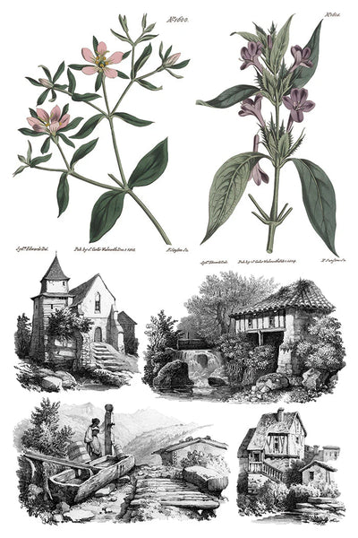 Saint Ouen IOD Transfer - Iron Orchid Designs - 2026