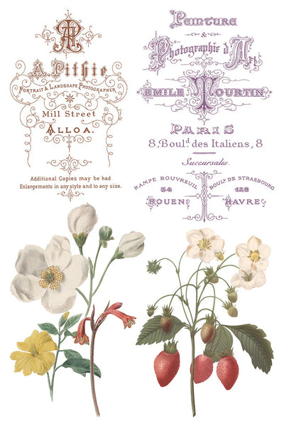 Saint Ouen IOD Transfer - Iron Orchid Designs - 2026