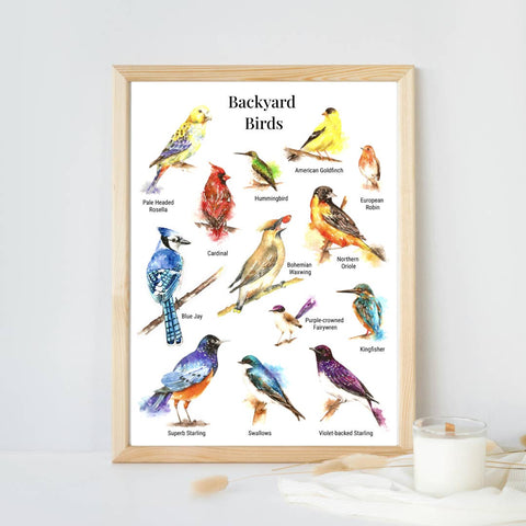 Backyard, birds, Poster print,  Beautiful Wall Art, Bluejay