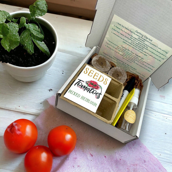 Heirloom Tomato Starter Kit: Grow Your Own Heritage Tomatoes
