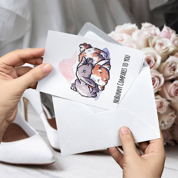 "Nobunny Compares" - Bunny Valentines, Anniversary Card