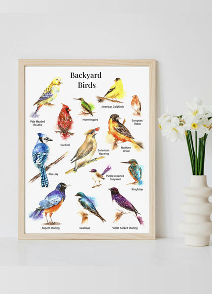 Backyard, birds, Poster print,  Beautiful Wall Art, Bluejay