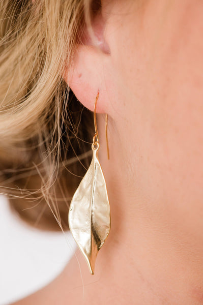 Earrings - Long Curled Leaf - Matte Silver