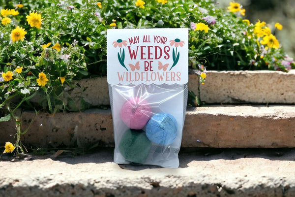 Seed Bombs - Canadian Wildflower - Blooming Blessings