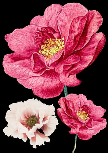 Large dark flower wall art - Made By Marley Decoupage Paper