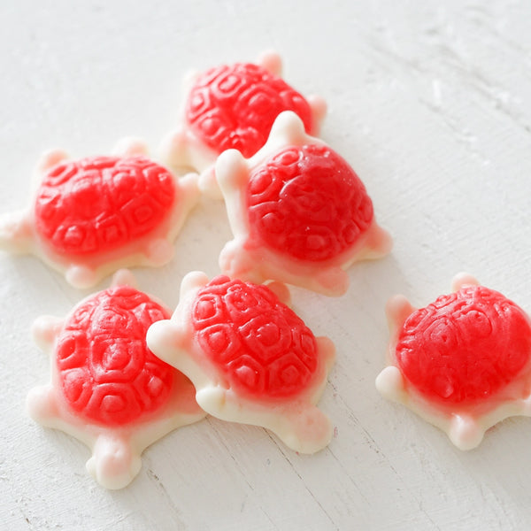 Sea Turtle - Gummy Candies